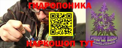 гидропоника Нягань