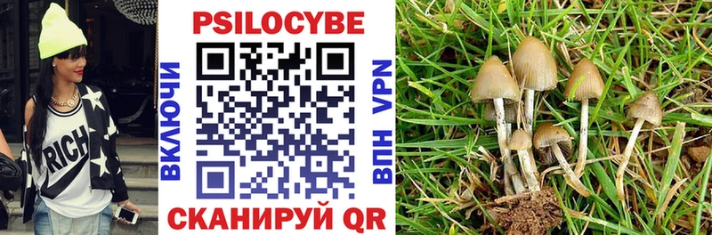 Галлюциногенные грибы прущие грибы  наркотики  Саянск 